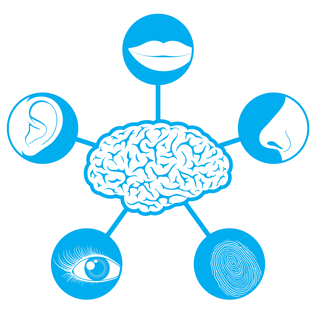 hypothalamus